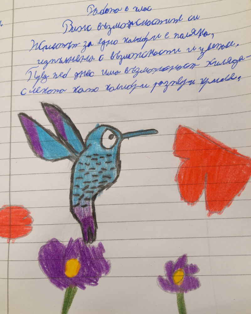 колибри малки диви мъдрости