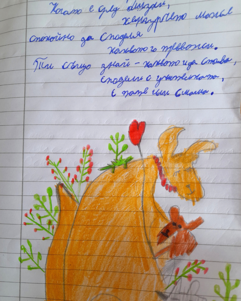 кенгуру малки диви мъдрости