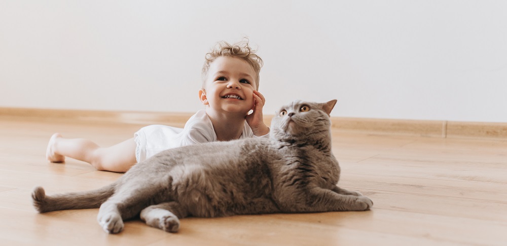 Котката – това е още едно дете в семейството