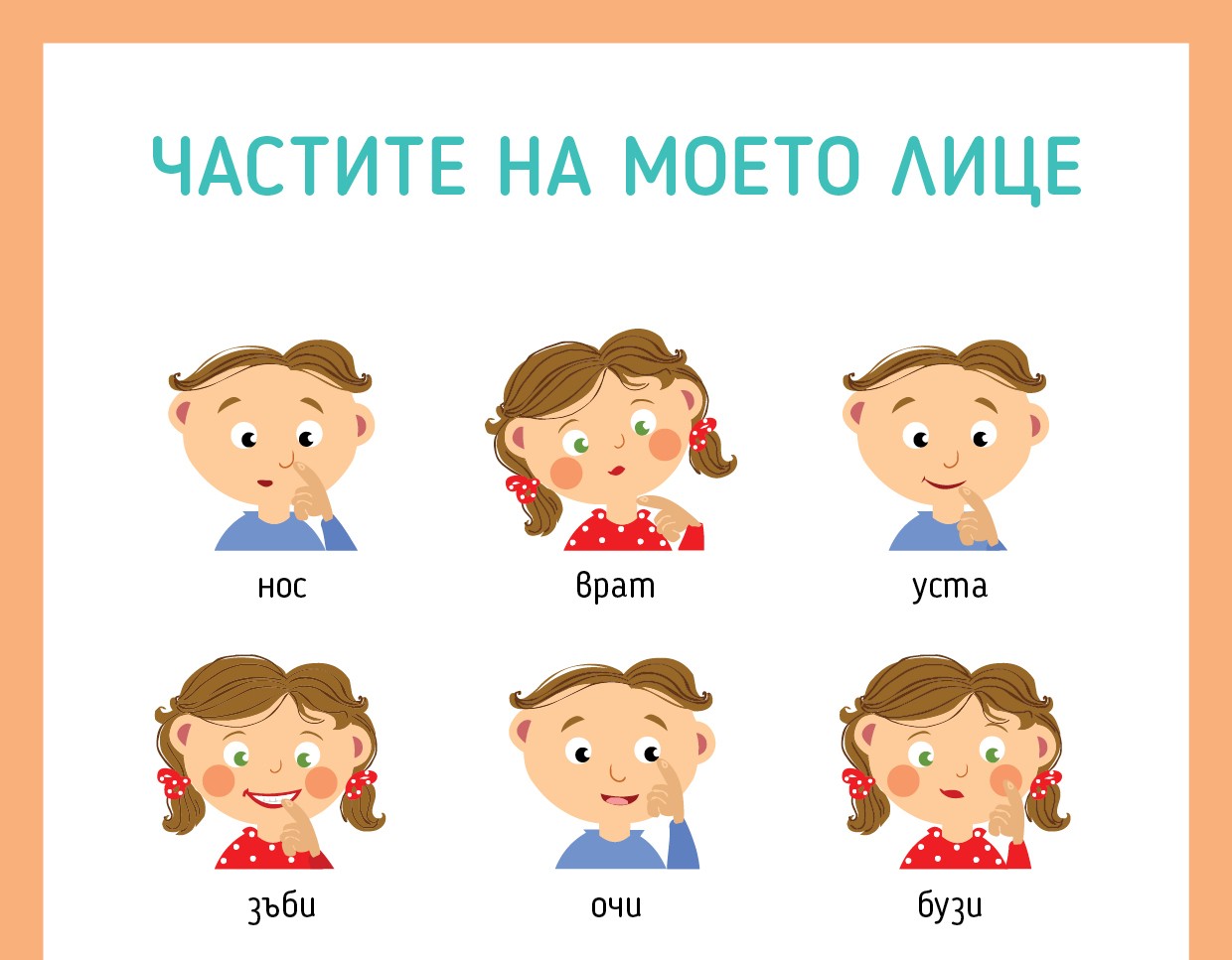 Плакат с частите на лицето за класната стая - за разпечатване